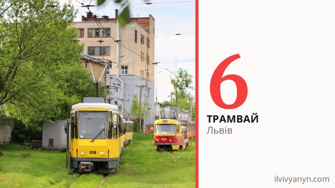 Трамвай 6 у Львові